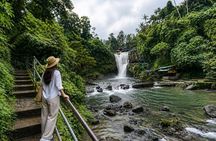 All-Inclusive Ubud Day Private Tour