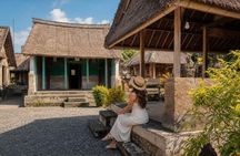 All-Inclusive Ubud Day Private Tour