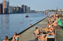 Private Gastronomy Bike Tour Copenhagen Food and Society 3 Hours
