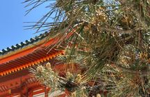 Discover Kyoto by Bike Full Day Tour