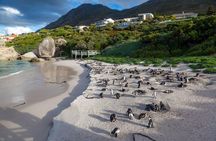 Cape Town Safari Signature Trip 8 Days of Culture and Wildlife