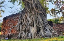 Ayutthaya & Ang Thong Private Tour: Thailand's Largest Buddha