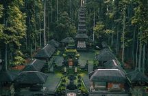 Ubud Monkey Forest, Water Temple, Waterfall, and Rice Terraces