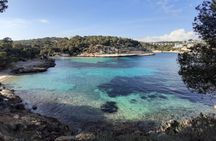 Best Beach Tours Mallorca. The Happy Vans.