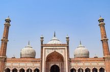 Delhi Tour