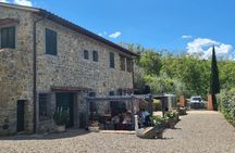 Tasting in the Farm of Wines Oil and Local Products