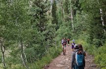 Salt Lake City's Guided Hiking Tour in the Rockies