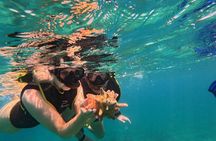 Turtle Snorkeling Experience in Vieques