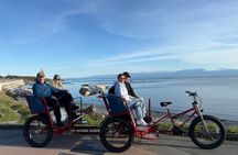 Private Victoria Guided Pedicab Experience