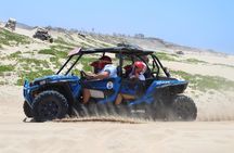 Cape 4 - Hour ATV Tour Beach and Desert Tour with Transportation