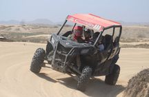 Cape 4 - Hour ATV Tour Beach and Desert Tour with Transportation