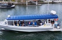 Mooloolaba Whale Watching – Small Group Tour