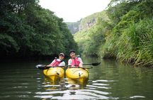 Pinaisara Waterfall Half Day Tour Mangrove Kayaking and trekking