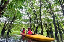 Pinaisara Waterfall Half Day Tour Mangrove Kayaking and trekking