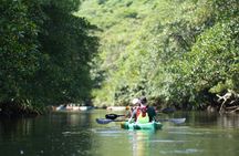 Pinaisara Waterfall Half Day Tour Mangrove Kayaking and trekking