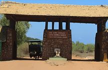 Private Tour from Hiriketiya to Ella with Yala Safari