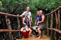 Dolphin tour,Jozani forest,kuza cave,Paje Beach & Rock restaurant