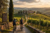 Chianti Rufina: ebike tour virtual-guided