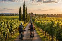 Chianti Rufina: ebike tour virtual-guided