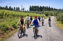 Chianti Rufina: ebike tour virtual-guided