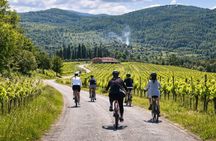 Chianti Rufina: ebike tour virtual-guided
