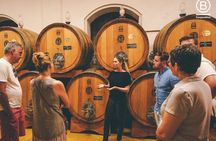 Amarone Wine Tasting Tour from Verona with Private Transportation