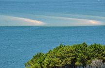 Full Day Tour from Bordeaux Arcachon Bay and Dune du Pilat