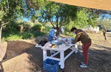 3-Hour Marble Workshop Create your own Souvenir out Naxos Marble
