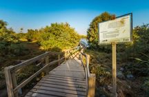 Shaumari Reserve and Azraq Wetland Private Full Day Tour from Amman