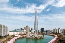Seoul Lotte World Adventure Admission Tickets with options