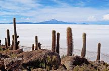 Salar de Uyuni and Lagunas Tour 2 Days 1 Night