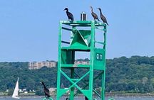 Guided Zodiac Tour Under the Iconic Bridges