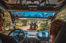 Self-drive Off Road Buggy