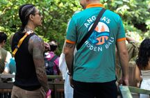 Ubud Essentials: Temples, Rice Terraces & Jungle Waterfalls