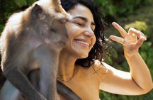 Ubud Essentials: Temples, Rice Terraces & Jungle Waterfalls