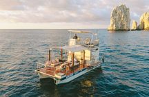 Private 32' Catamaran: Cabo Arch, Sea Lions & Beach for 12 Guest