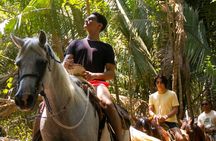 Tour a Caballo por la Selva y la Playa