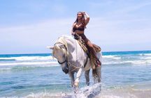 Tour a Caballo por la Selva y la Playa
