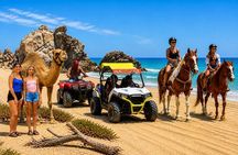 Los Cabos: Choose 3 – ATV, Razor, Camel interaction or Horseback