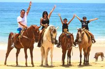 Los Cabos: Choose 3 – ATV, Razor, Camel interaction or Horseback
