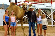 Los Cabos: Choose 3 – ATV, Razor, Camel interaction or Horseback