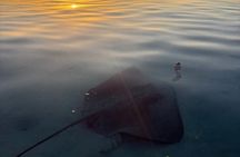 Aperitif cruise at sunset in the Tahiti lagoon