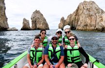 Whale Watching Experience