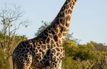 5 Day Victoria Falls to Chobe and Cultural Adventure Tour