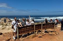Private Tour: Cape Peninsula & Penguin Beach, Cape Point & more