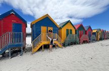 Private Tour: Cape Peninsula & Penguin Beach, Cape Point & more
