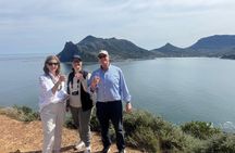 Private Tour: Cape Peninsula & Penguin Beach, Cape Point & more