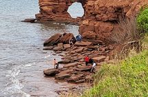 Combo North And South Shore Scenic Tour of PEI
