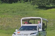 Safari 4x4 Adventure Tour in Moorea