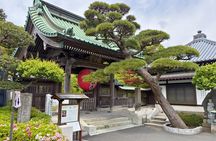 Kamakura & Enoshima Private Half-Day Walking Tour with Jeremy